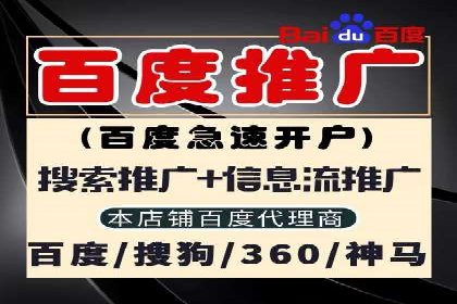SEO策略在电商平台的成功应用案例